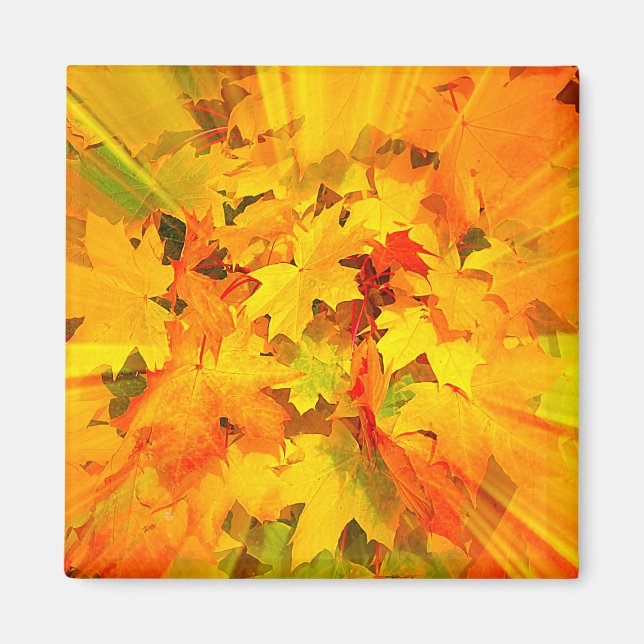 Aimant Couleur des feuilles automnales Couleurs automnale (Devant)