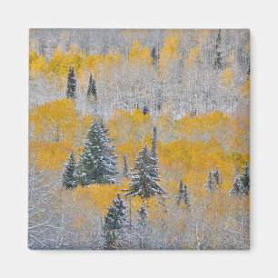 Aimant Couleurs d'automne des trembles et neige fraîche K
