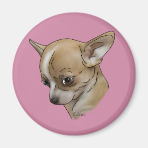 Aimant Coupable Chihuahua
