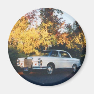 Aimant Coupé 1965 de Mercedes-Benz 220SEb