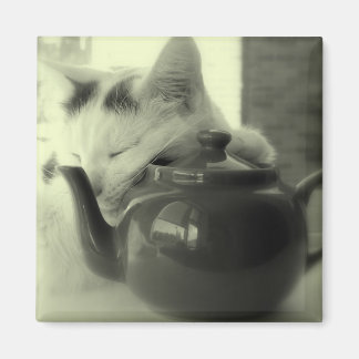 Aimant Coussin de thé