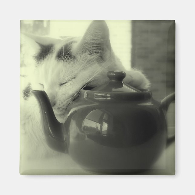 Aimant Coussin de thé (Devant)