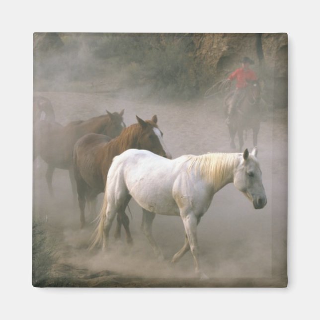 Aimant Cowboy Herding (Devant)