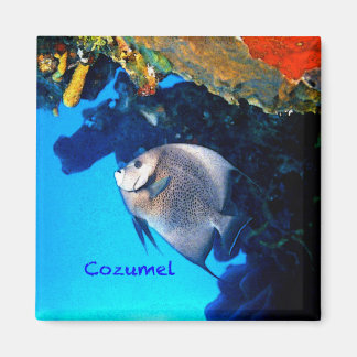 Aimant Cozumel Ange
