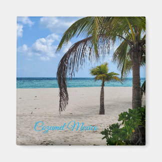 Aimant Cozumel Mexique
