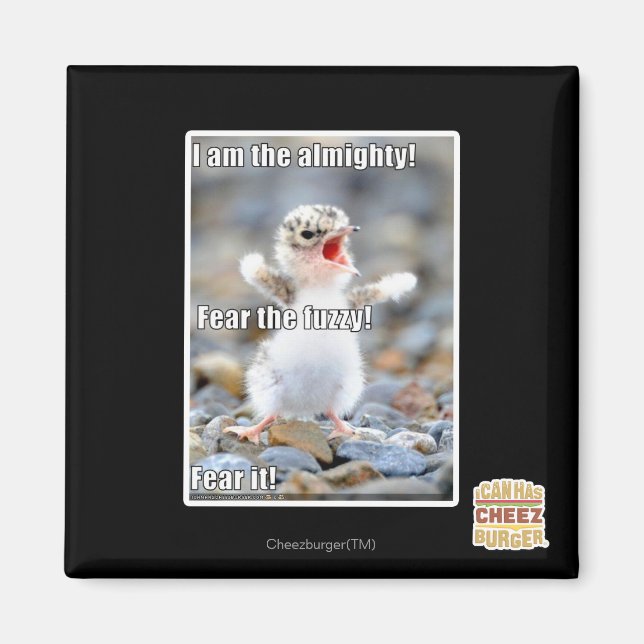 Aimant Craignez le Fuzzy ! (Devant)