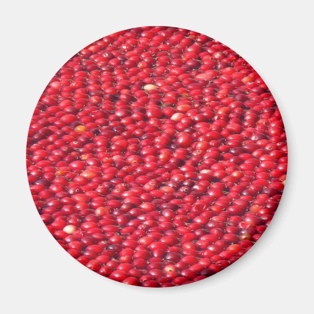Aimant Cranberries Festive Rouge (Devant)