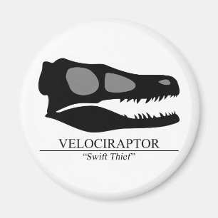 Aimant Crâne Velociraptor