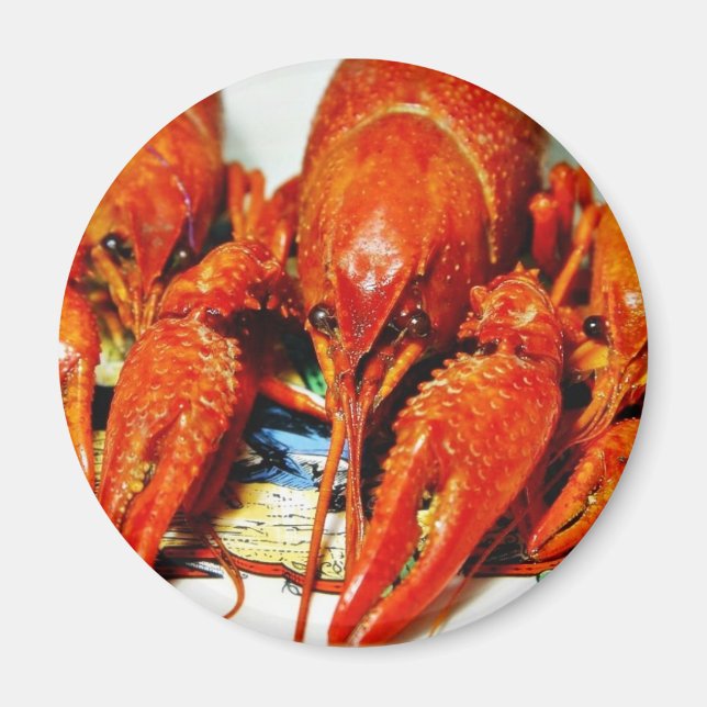 Aimant Crawfish Crawdads Éclair (Devant)