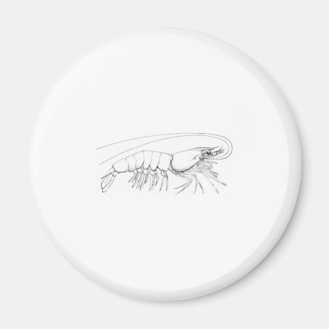 Aimant crevettes (Devant)