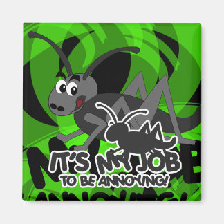 Aimant Cricket agaçant