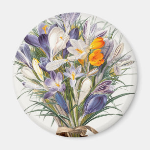 Aimant Crocus Spring Flower Floral Art