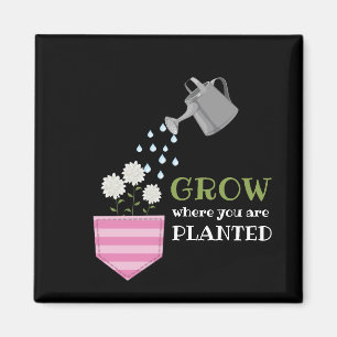 Aimant Croissance là où vous êtes planté de poche inspira