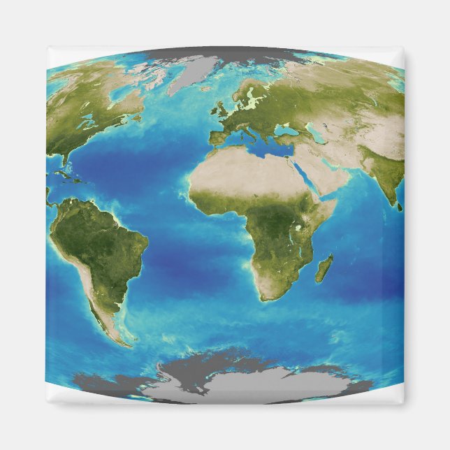 Aimant Croissance plante moyenne de la Terre (Devant)
