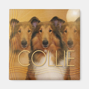 Aimant Croissant de lune de colley