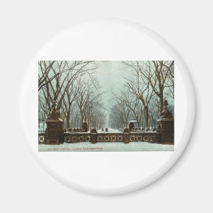 Aimant Cru c1910 du Central Park NY d'hiver