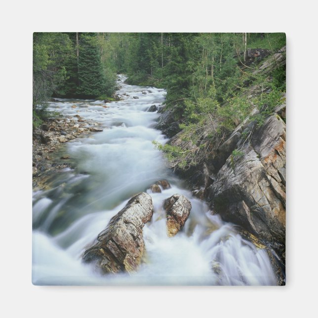 Aimant Crystal River, Gunnison National Forest, (Devant)