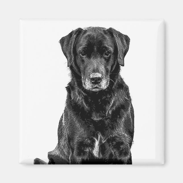 Aimant Cuisine Labrador Chien noir Chien Chien Chien Chie (Devant)