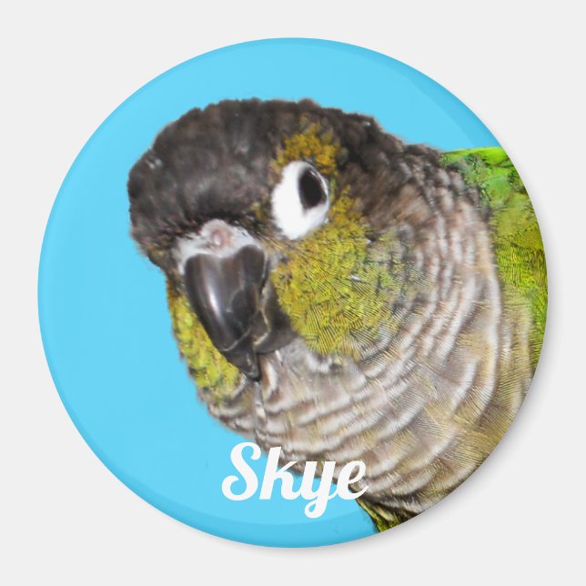 Aimant Custom Pet Bird Photo Name (Devant)