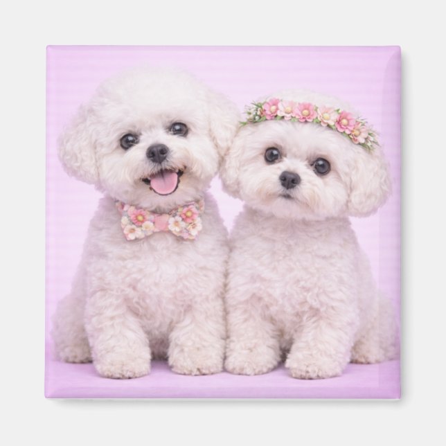 Aimant Cute Bichon Frise Couple Valentine Illustration (Devant)