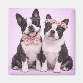 Aimant Cute Boston Terrier Couple Valentine Illustration 