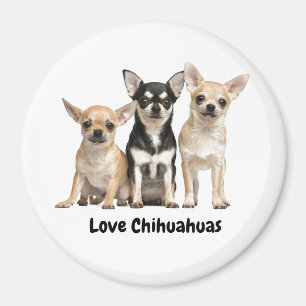 Aimant Cute Chihuahua Puppies