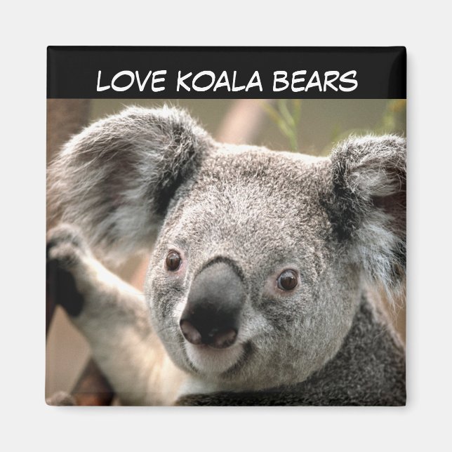 Aimant Cute Ours Koala (Devant)