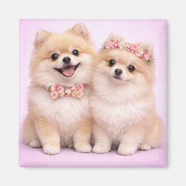 Aimant Cute Pomeranian Couple Valentine Illustration 