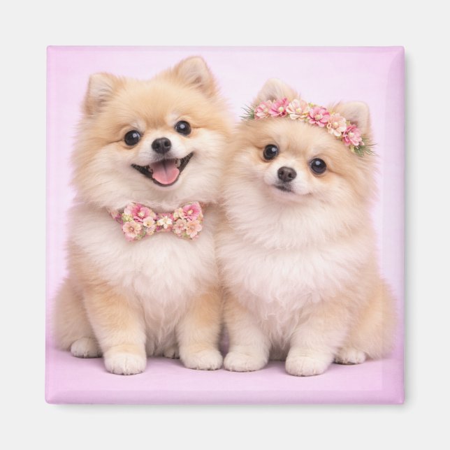 Aimant Cute Pomeranian Couple Valentine Illustration  (Devant)