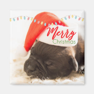 Aimant Cute Puppy Pug in a Red Santa Hat Christmas