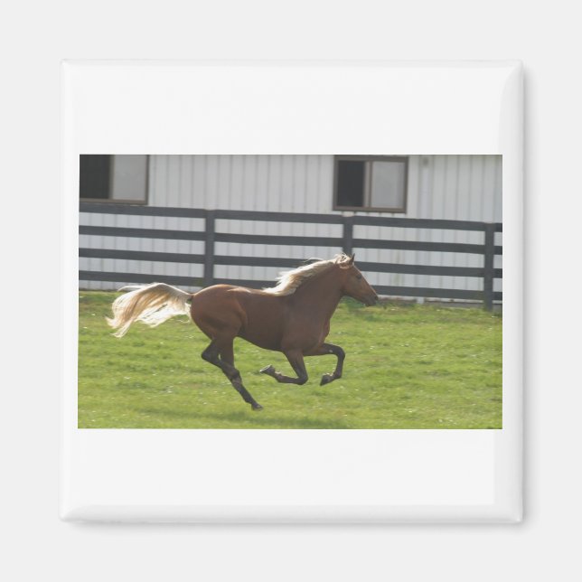 Aimant Cuttin' Loose (Devant)