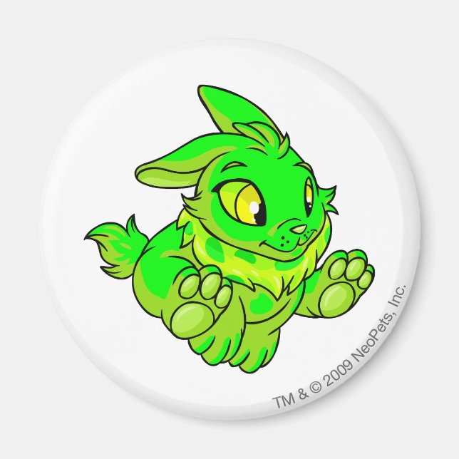 Aimant Cybunny brillant (Devant)