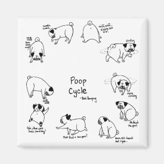 Aimant Cycle de bouclage