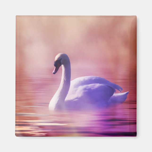 Aimant Cygne blanc flottant sur un lac brumeux (Devant)