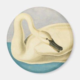 Aimant Cygne trompette par John James Audubon, Oiseau Vin