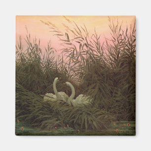 Aimant Cygnes dans les roseaux, c.1820