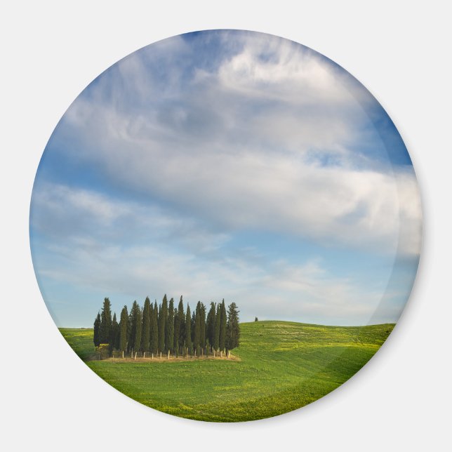 Aimant Cyprès en Toscane magnétique rond (Devant)