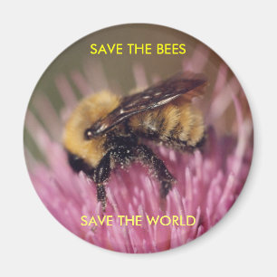 Aimant d'abeille
