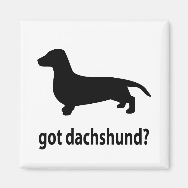 Aimant Dachshund (Devant)