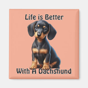 Aimant Dachshund Chiot assis et regardant avec Innocent