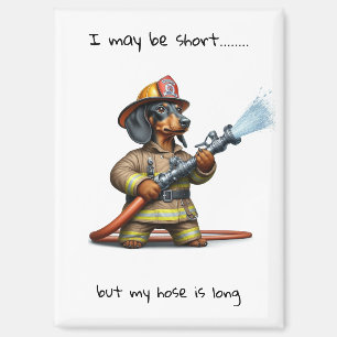 Aimant Dachshund court