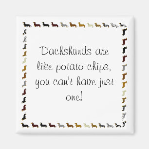 Aimant Dachshund-ne peut pas en avoir un seul