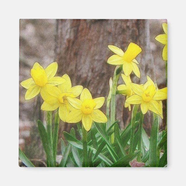 Aimant Daffodiques Jaunes Lumineux (Devant)