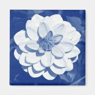 Aimant Dahlia - Cyanotype numérique