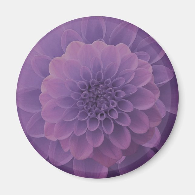 Aimant Dahlia violet (Devant)