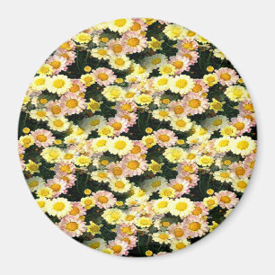 Aimant Daisies Galore......