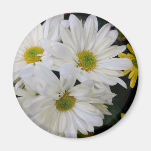 Aimant Daisy