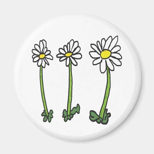 Aimant Daisy (Devant)