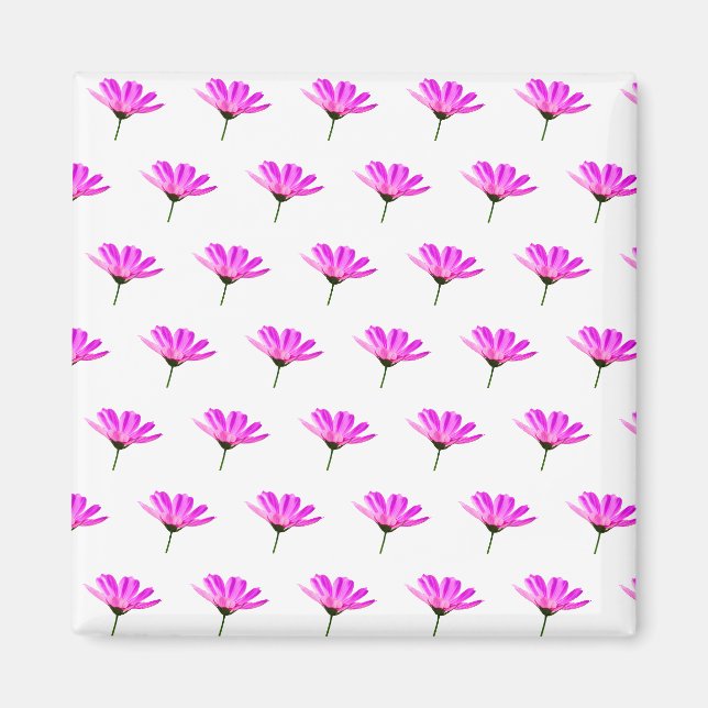 Aimant Daisy Rose    (Devant)