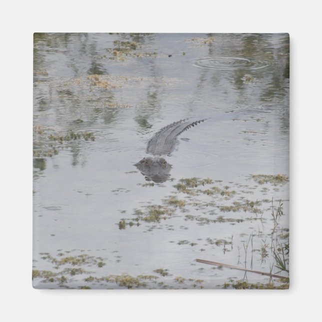 Aimant d'alignement (Devant)